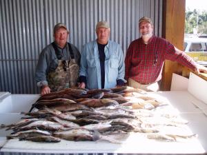 Limits of Reds and Trout!!!!